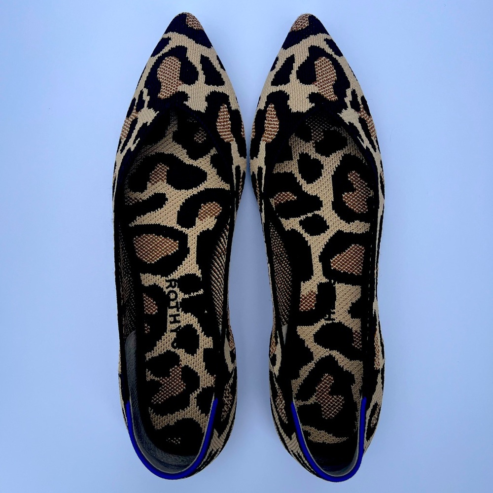 The Point Desert Cat 😽